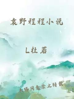 袁野程程小說