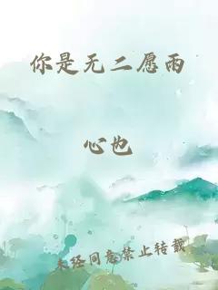 你是無(wú)二愿雨