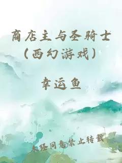 商店主與圣騎士（西幻游戲）