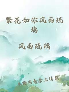 繁花如你風(fēng)雨琉璃