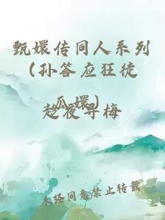 甄嬛傳同人系列（孫答應(yīng)狂徒 瓜嬛）